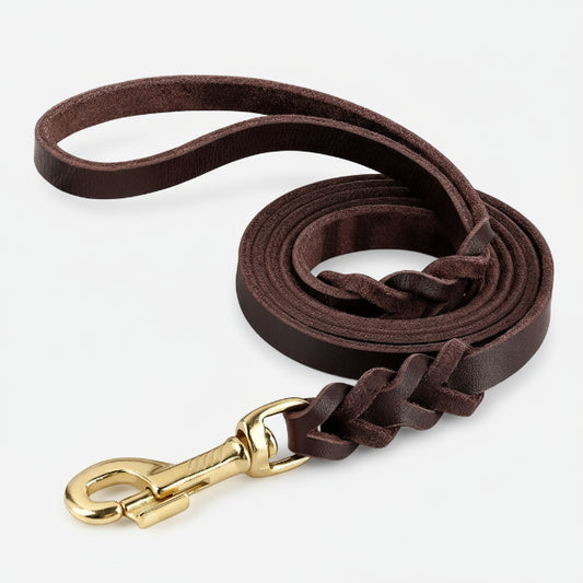 Collier et laisse pour chien en cuir marron avec attache en métal doré robuste