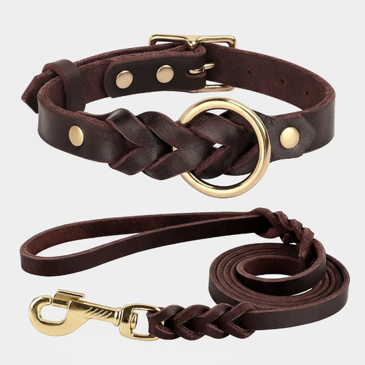 Collier et laisse pour chien en cuir marron avec détails tressés et finitions dorées Oscar et Plume