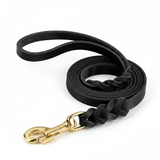 Collier et laisse pour chien en cuir noir avec attache en métal doré de la marque Oscar et Plume