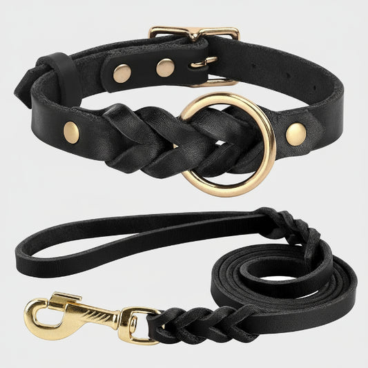 Collier et laisse pour chien en cuir noir avec ferrures dorées par Oscar et Plume
