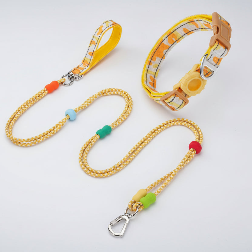 Collier et laisse pour chien Oscar et Plume avec motifs colorés et matériaux durables