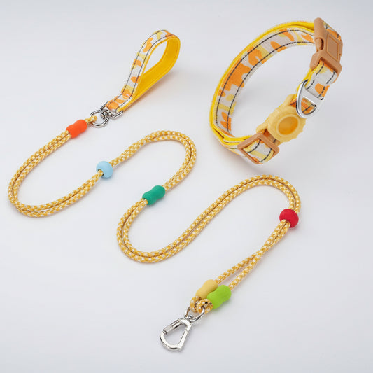 Collier et laisse pour chien Oscar et Plume avec motifs colorés et matériaux durables