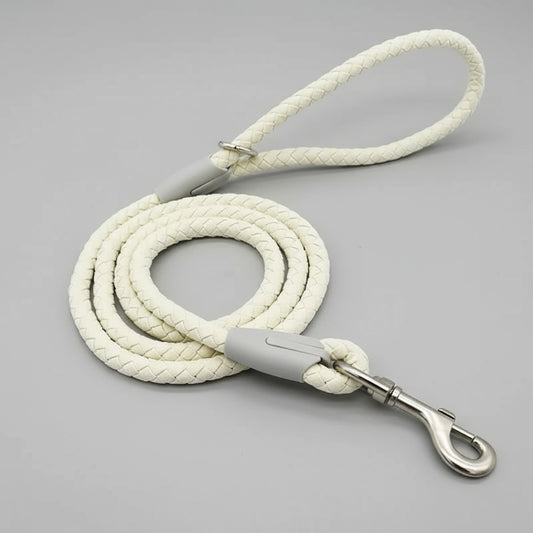 Collier et laisse pour chien en corde tressée beige avec attache métallique durable