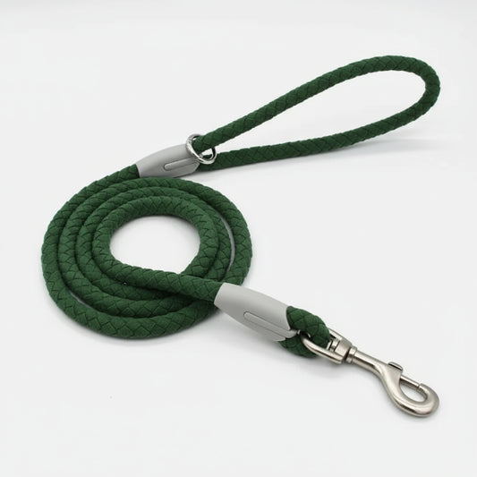 Collier et laisse pour chien tressés verts avec attaches métalliques par Oscar et Plume