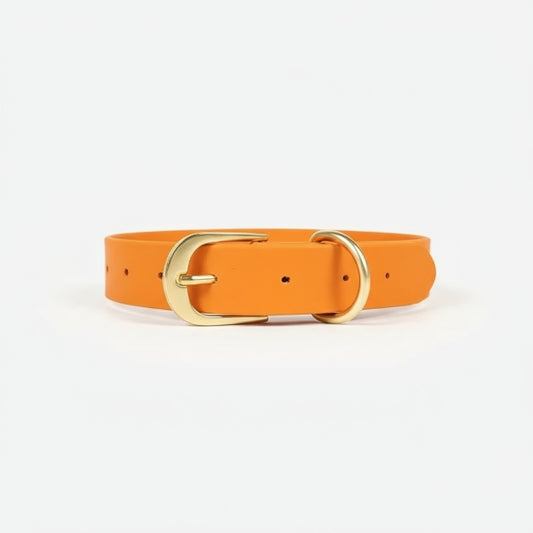Collier imperméable chien orange de différentes tailles avec boucle dorée par Oscar et Plume