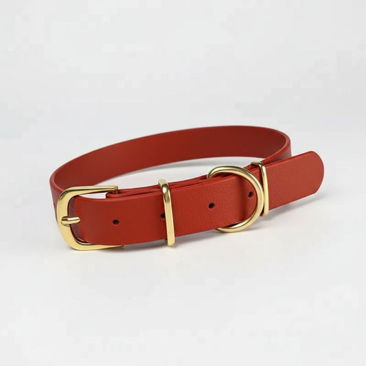 Collier imperméable chien rouge avec boucle et anneau dorés de la marque Oscar et Plume