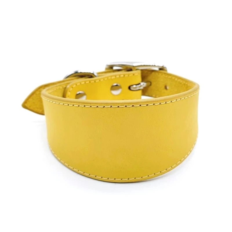 Collier large en cuir véritable pour lévrier Oscar et Plume Jaune / S