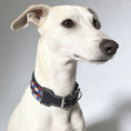 Charger l'image dans la visionneuse de la galerie, Collier large pour chien Oscar et Plume en tissu à motifs colorés avec boucle métallique
