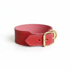collier large pour chien rouge en cuir suédé avec rembourrage et boucle dorée Oscar et Plume