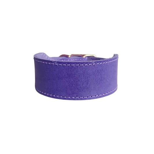 collier large pour chien en cuir suédé violet Oscar et Plume boucle dorée couture renforcée