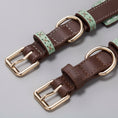 Load image into Gallery viewer, Détails du collier large pour lévrier en cuir marron avec boucles dorées et accents verts
