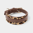 Collier large pour lévrier en cuir avec imprimé léopard et finitions dorées