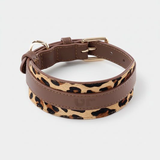 Collier large pour lévrier en cuir avec imprimé léopard et finitions dorées
