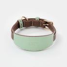 Collier large pour lévrier en cuir vert menthe et marron, conçu pour le confort des chiens