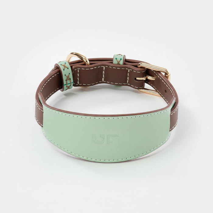 Collier large pour lévrier en cuir vert menthe et marron, conçu pour le confort des chiens