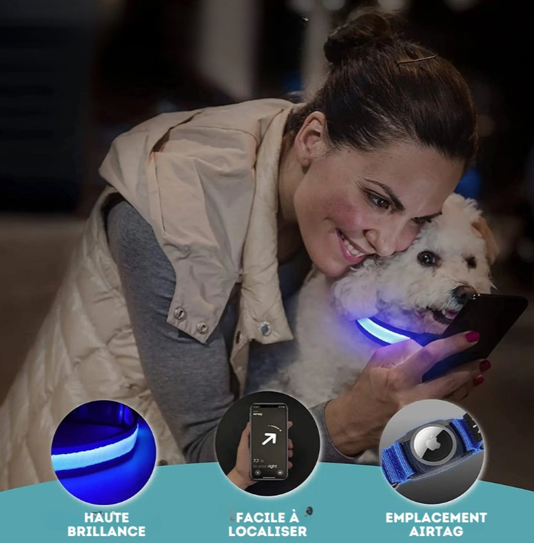 Collier Led avec emplacement Airtag pour chien et chat - Oscar et Plume