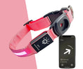 Charger l'image dans la visionneuse de la galerie, Collier Led avec emplacement Airtag pour chien et chat - Oscar et Plume
