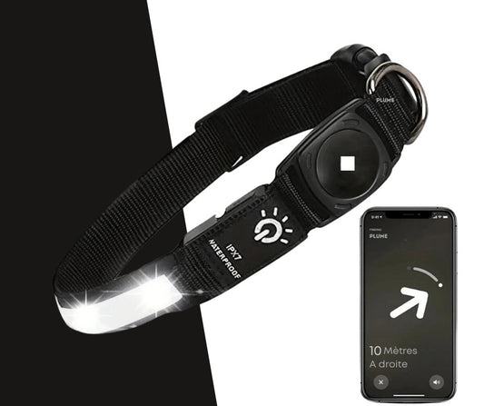 Collier led chien avec airtag noir étanche et connecté pour localisation sur application mobile