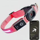 Collier led chien avec airtag rose connecté à un smartphone pour localisation précise