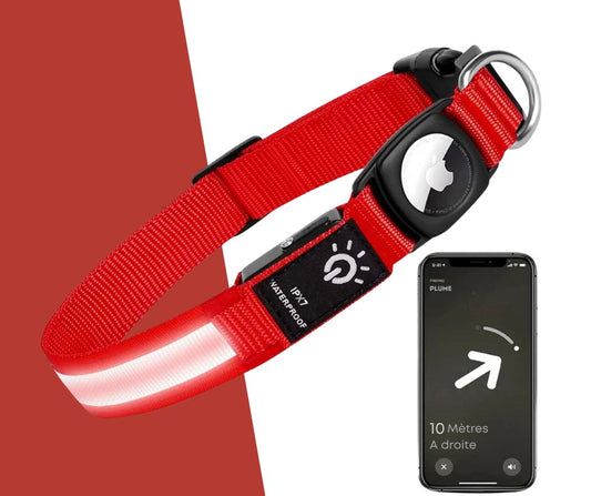 Collier led chien avec airtag rouge étanche avec smartphone montrant géolocalisation