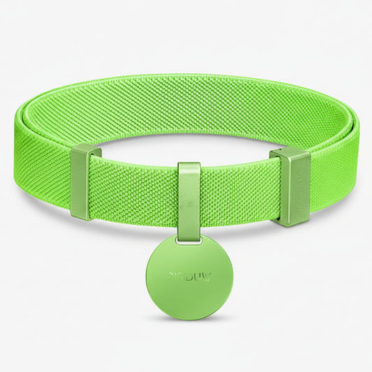 Collier lumineux anti étranglement chat en vert pour une sécurité accrue lors des sorties nocturnes