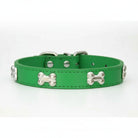Collier os pour chien vert en cuir avec décorations os métalliques argentées Oscar et Plume