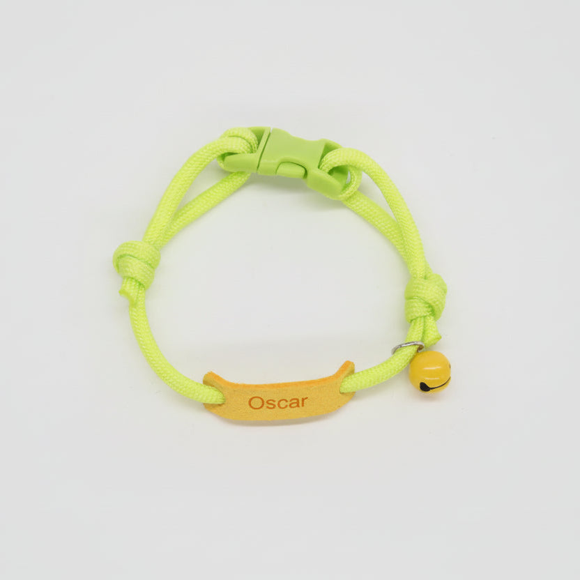 Collier personnalisable pour chien et chat en vert avec un pendentif et un nom gravé