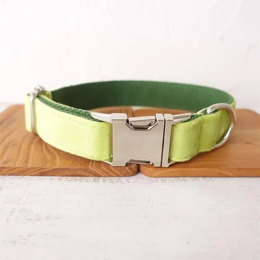 Collier personnalisable velours pour chien de couleur verte avec boucle métallique robuste