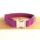 Collier personnalisable velours pour chien en velours violet avec boucle métallique argentée