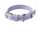 Collier pour chat violet clair avec boucle métallisée et petite fleur blanche décorative