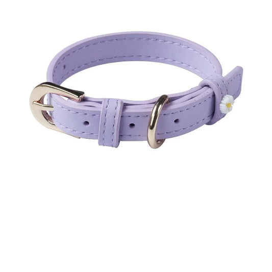 Collier pour chat violet clair avec boucle métallisée et petite fleur blanche décorative