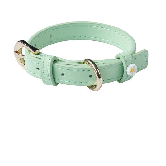 collier pour chat vert pastel en cuir avec boucle dorée et petite fleur blanche Oscar et Plume