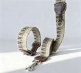 Charger l'image dans la visionneuse de la galerie, Collier pour chien en tissu résistant avec finitions en cuir pour un style élégant
