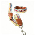 Charger l'image dans la visionneuse de la galerie, Collier pour chien multicolore avec une laisse assortie en cuir pour promenades stylées
