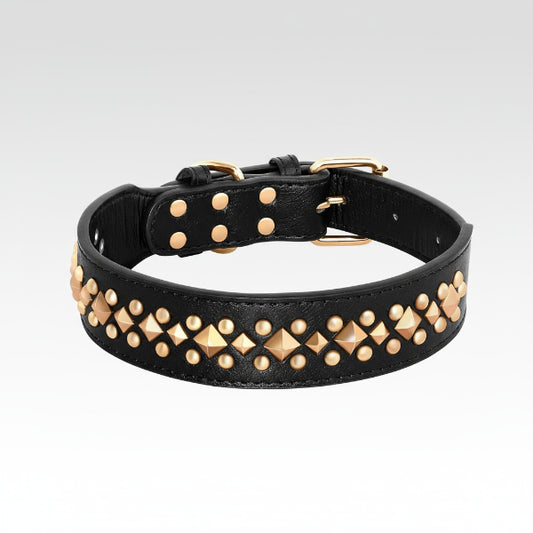 Collier pour chien design en cuir noir avec clous dorés par Oscar et Plume