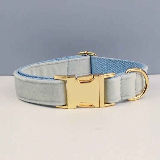 Collier pour chien design en velours gris avec boucle dorée pour un look élégant