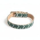 Collier pour chien design vert avec motifs géométriques et boucle en métal Oscar et Plume