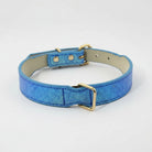 Collier pour chien imitation crocodile bleu avec boucle dorée et doublure beige par Oscar et Plume