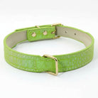 Collier pour chien imitation crocodile vert avec boucle dorée de la marque Oscar et Plume