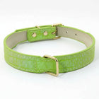 Collier pour chien imitation crocodile vert avec boucle dorée de la marque Oscar et Plume