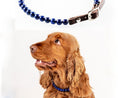 Charger l'image dans la visionneuse de la galerie, Collier pour chien solitaire fuyant les autres chiens Oscar et Plume 20-25 cm
