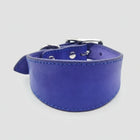 Collier pour lévrier en cuir bleu avec finition lisse et coutures contrastées