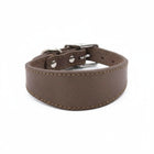 Collier pour lévrier en cuir marron avec doublure souple pour un confort optimal