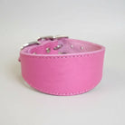 Collier pour lévrier en cuir rose avec boucle en métal pour un ajustement confortable