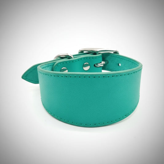 Collier pour lévrier en cuir turquoise avec finition élégante et boucles robustes