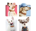 Load image into Gallery viewer, Collier réglable en cuir durable avec emplacement Airtag pour chien et chat Oscar et Plume
