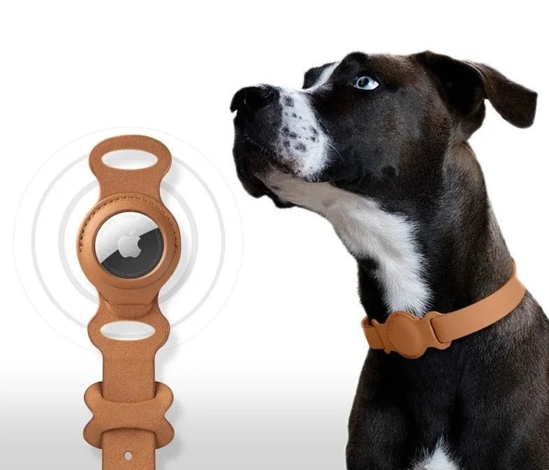 Collier réglable en cuir durable avec emplacement Airtag pour chien et chat Oscar et Plume