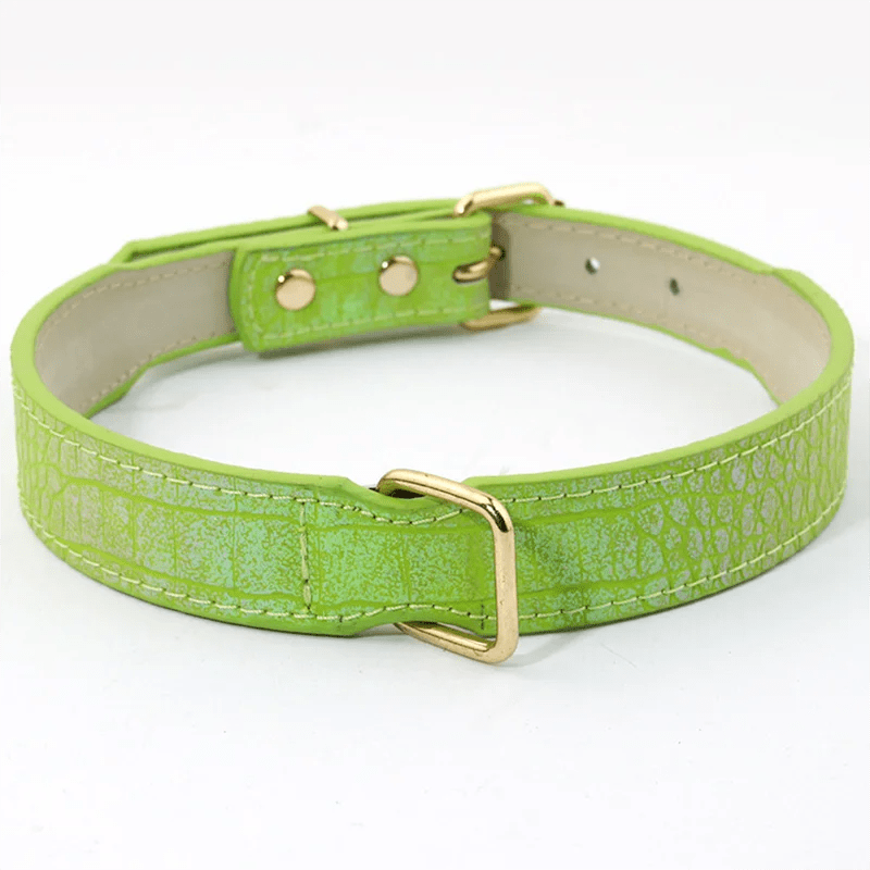 Collier réglable imitation crocodile pour chien Oscar et Plume Vert / S