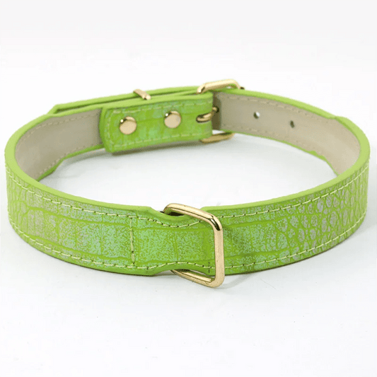 Collier réglable imitation crocodile pour chien Oscar et Plume Vert / S