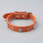 Collier simili cuir petit chien orné de fleurs et de cristaux en rose et transparent